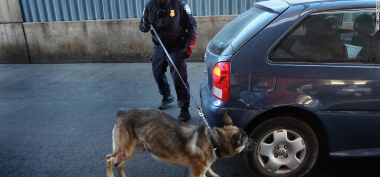 Drug Dog Sniff